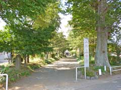 上粕屋神社参道