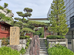 大巧寺山門