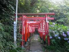 佐助稲荷神社鳥居