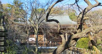 星宿山王禅寺