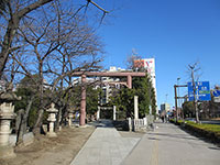 稲毛神社鳥居