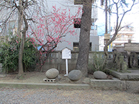 住吉神社力石