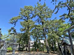 浜町山王神社社叢