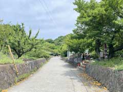 前を通る大山道