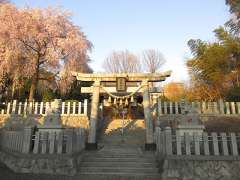 八坂神社鳥居