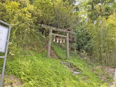 桜山上熊野神社鳥居
