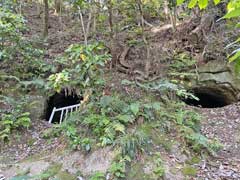 山の根熊野神社横穴墓二基