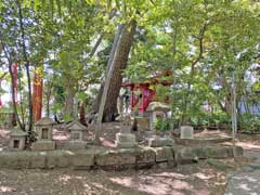 亀岡八幡宮境内石祠