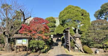 もと末寺37ヵ寺の東金町金蓮院