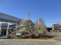 浄光寺登美の松