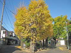 高木神社参道