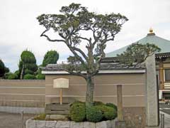 山田検校の墓