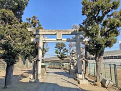 赤羽八幡神社鳥居