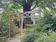 十条若宮八幡神社鳥居