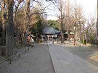 平塚神社参道