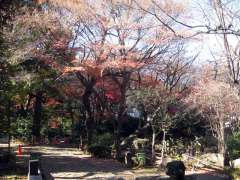 名主の滝公園内