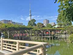 亀戸天神社境内