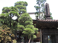 常林寺