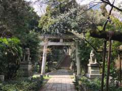 赤坂氷川神社鳥居