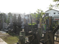 成願寺鍋島家の墓