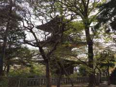 道場寺三重塔