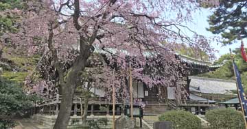 亀頂山三宝寺