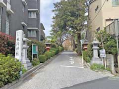 氷川神社参道