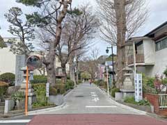 氷川神社参道