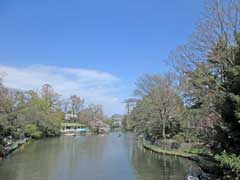 武蔵関公園の富士見池