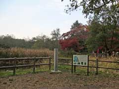 三宝寺池沼沢植物群落碑