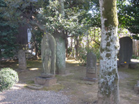 密蔵院庚申供養塔群