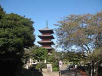 池上本門寺五重塔