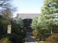 蓮光院