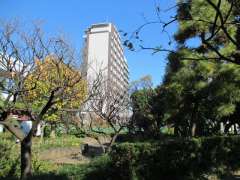 梅屋敷(聖蹟蒲田梅屋敷公園)
