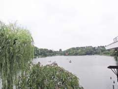 洗足池（洗足池公園）遠景