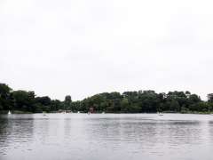 洗足池(洗足池公園)