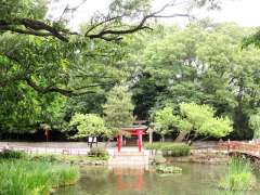 洗足池傍の八幡神社