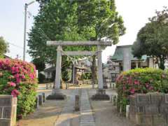 柏座春日神社鳥居