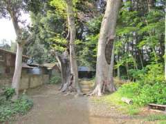 戸崎氷川神社参道