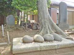 館氷川神社力石