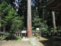 下影森琴平神社御神木