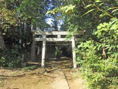 川崎白山神社鳥居