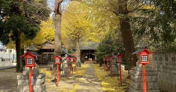 上鶴間氷川神社