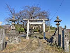 井椋神社一鳥居