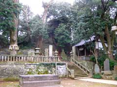 前玉神社概観