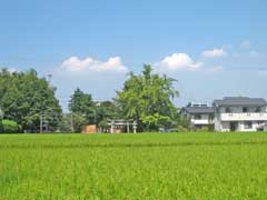 伊奈利神社天神社合殿外観