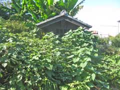 虚空蔵山古墳諏訪神社