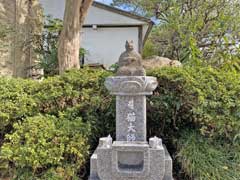 圓泉寺猫大師