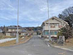 赤沼氷川神社参道