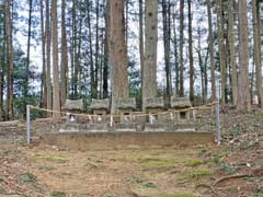 赤沼氷川神社境内社